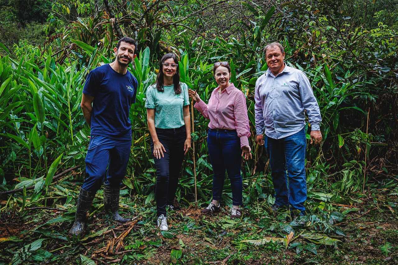 Da mensuração à Floresta ICQ Brasil-ATZert: um novo passo na jornada de neutralização